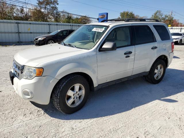 FORD ESCAPE XLT 2011 with VIN 1FMCU9DG1BKA57503 - Photo from auction
