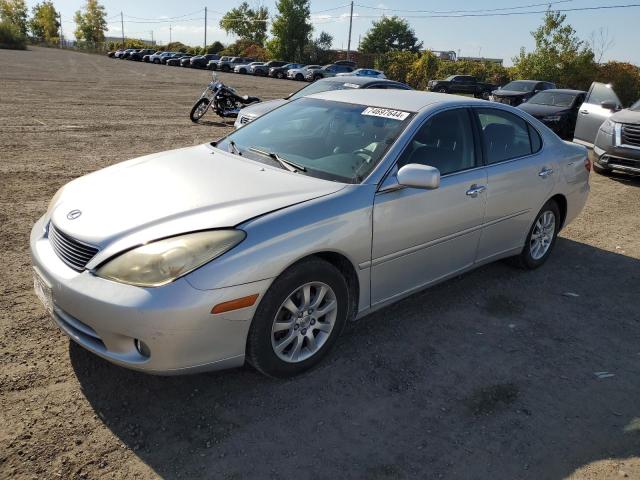 LEXUS ES 330 2006 with VIN JTHBA30G465151924 - Photo from auction