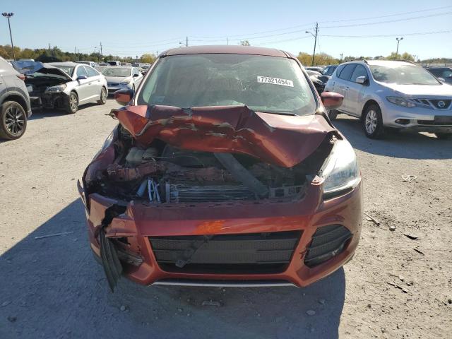 Photo 5 from auction – 2016 FORD ESCAPE SE with VIN 1FMCU0GX8GUB20616