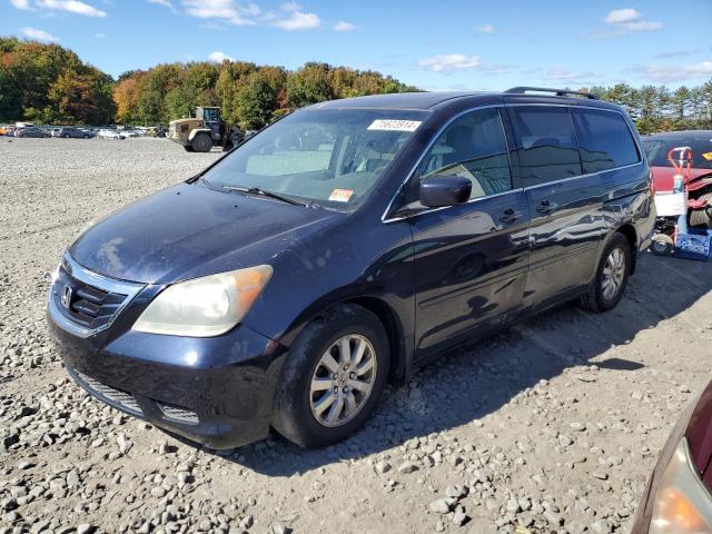 Photo 1 from auction – 2008 HONDA ODYSSEY EX with VIN 5FNRL38718B067477