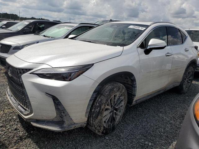 Photo 1 from auction – 2025 LEXUS NX 250 PRE with VIN 2T2GDCAZXSC020763