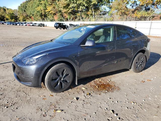 TESLA MODEL Y 2024 with VIN 7SAYGDEE1RF165535 - Photo from auction