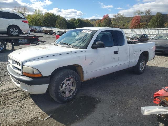 DODGE DAKOTA 2001 with VIN 1B7GL22X21S162973 - Photo from auction