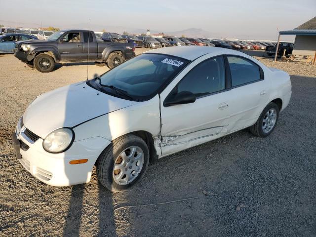 DODGE NEON SXT 2005 with VIN 1B3ES56C95D166288 - Photo from auction