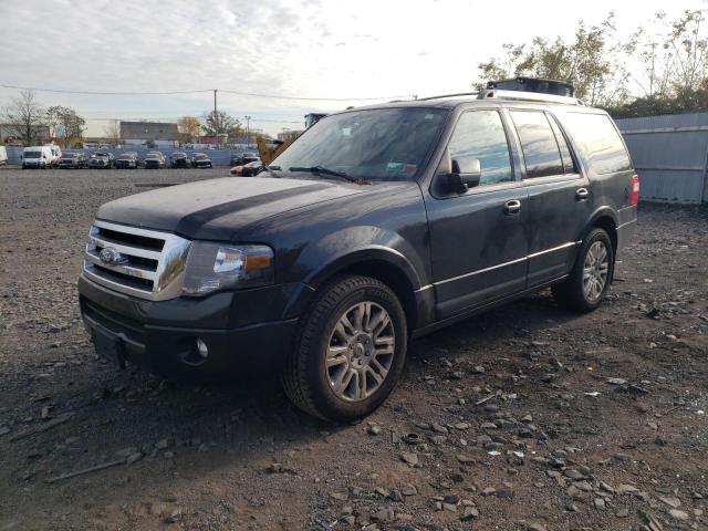 FORD EXPEDITION 2014 with VIN 1FMJU2A54EEF61273 - Photo from auction
