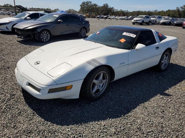 CHEVROLET CORVETTE 1996 с VIN 1G1YY225XT5116449 - Фото с аукциона