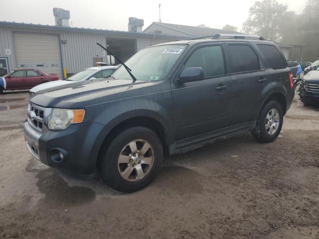 FORD ESCAPE LIM 2009 with VIN 1FMCU94759KA36776 - Photo from auction