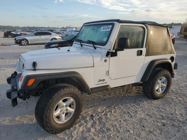 JEEP WRANGLER X 2005 with VIN 1J4FA39S65P379754 - Photo from auction
