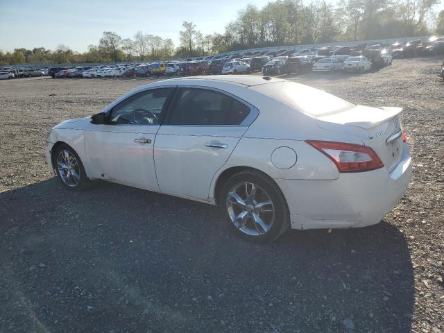 Photo 2 from auction – 2010 NISSAN MAXIMA S with VIN 1N4AA5AP8AC846473