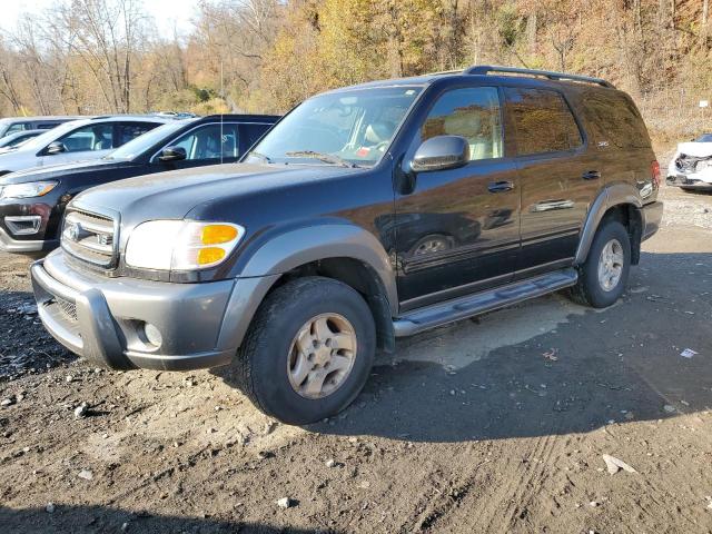 TOYOTA SEQUOIA SR 2003 with VIN 5TDBT44A93S185631 - Photo from auction