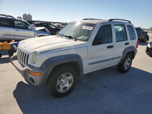 JEEP LIBERTY SP 2003 with VIN 1J4GL48K43W548839 - Photo from auction