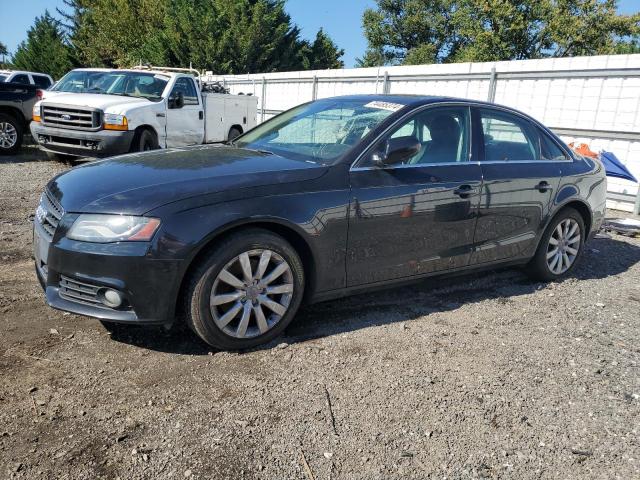 AUDI A4 PREMIUM 2010 with VIN WAUHFAFL5AN041010 - Photo from auction