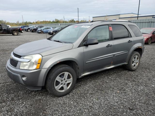 CHEVROLET EQUINOX LS 2005 with VIN 2CNDL23F856058999 - Photo from auction