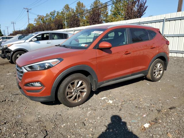 HYUNDAI TUCSON LIM 2017 with VIN KM8J3CA48HU297274 - Photo from auction