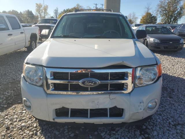 Photo 5 from auction – 2010 FORD ESCAPE XLT with VIN 1FMCU0DG5AKD44773