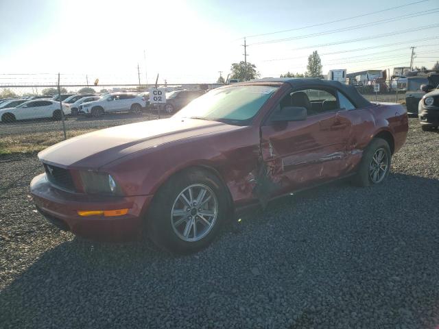 FORD MUSTANG 2005 with VIN 1ZVFT84N255207194 - Photo from auction
