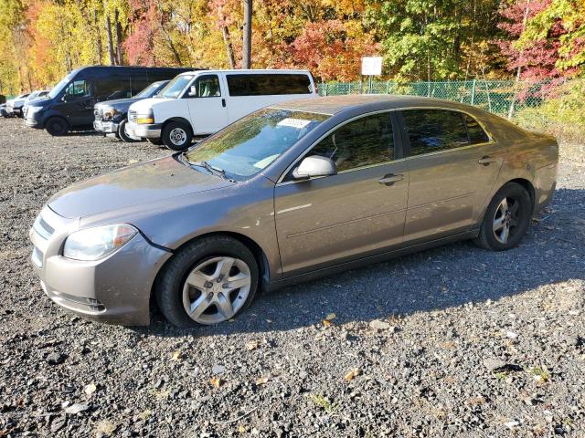 CHEVROLET MALIBU LS 2011 with VIN 1G1ZB5E15BF111359 - Photo from auction