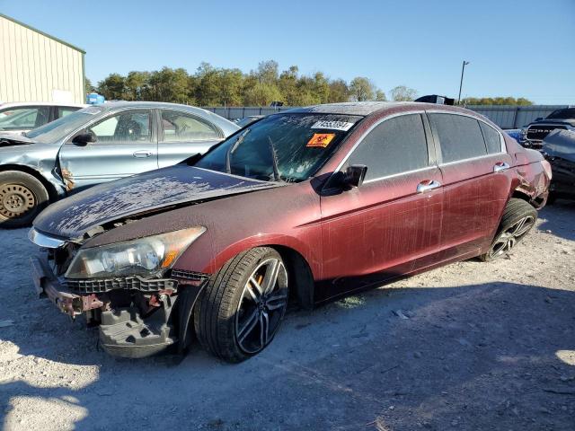HONDA ACCORD EXL 2011 with VIN 1HGCP3F81BA015337 - Photo from auction