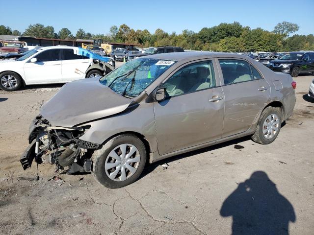 TOYOTA COROLLA BA 2010 with VIN 2T1BU4EE2AC423565 - Photo from auction
