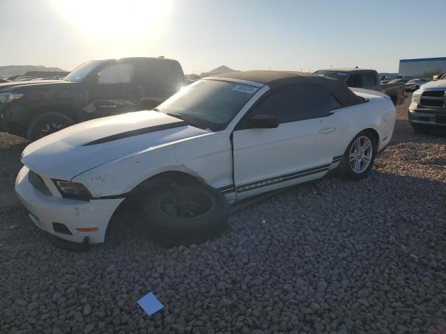 FORD MUSTANG 2011 with VIN 1ZVBP8EM7B5164783 - Photo from auction