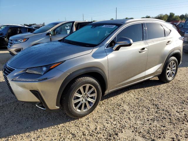 LEXUS NX 300H 2019 with VIN JTJBJRBZ4K2097374 - Photo from auction
