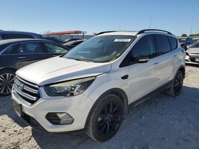 FORD ESCAPE TIT 2017 with VIN 1FMCU0J97HUD76466 - Photo from auction