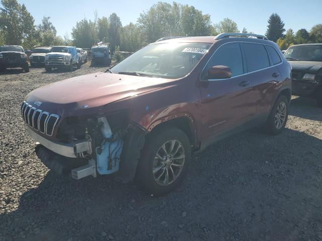 JEEP CHEROKEE L 2020 with VIN 1C4PJMLB0LD569007 - Photo from auction