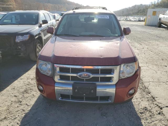 Photo 5 from auction – 2009 FORD ESCAPE LIM with VIN 1FMCU94G69KB86461