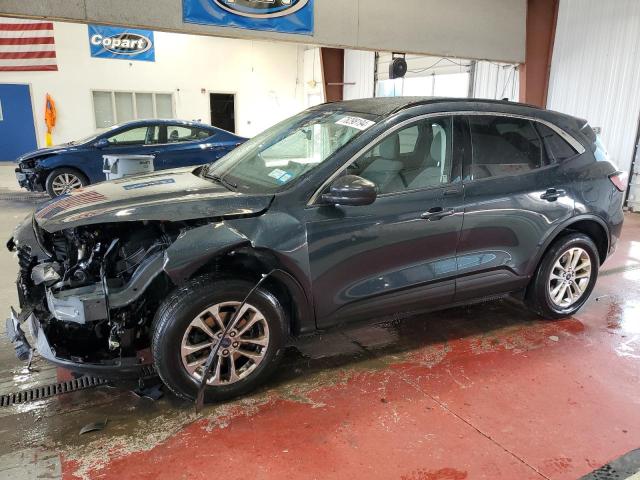 FORD ESCAPE SE 2022 with VIN 1FMCU9G63NUB06003 - Photo from auction