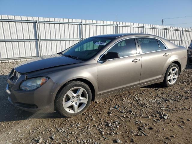 CHEVROLET MALIBU LS 2010 with VIN 1G1ZB5EB2A4121947 - Photo from auction