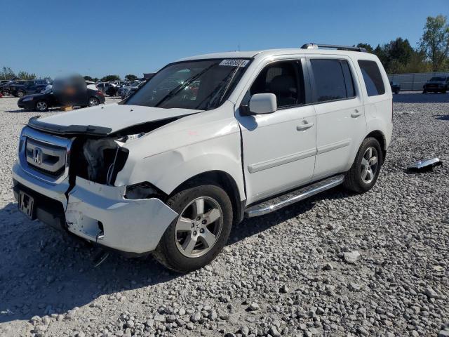 HONDA PILOT EXL 2010 with VIN 5FNYF4H50AB018073 - Photo from auction