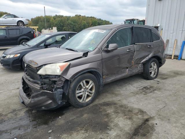 HONDA CR-V EXL 2011 with VIN 5J6RE4H74BL011192 - Photo from auction