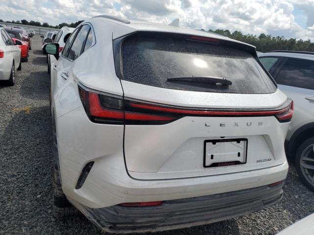Photo 6 from auction – 2025 LEXUS NX 250 PRE with VIN 2T2GDCAZXSC020763