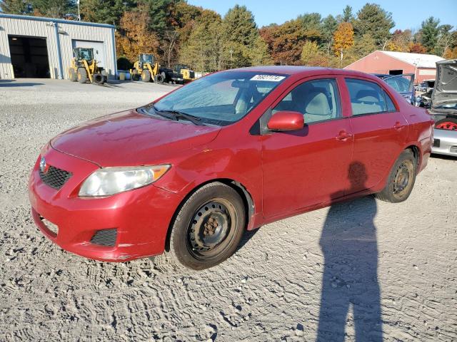 TOYOTA COROLLA BA 2010 with VIN 2T1BU4EE7AC305611 - Photo from auction
