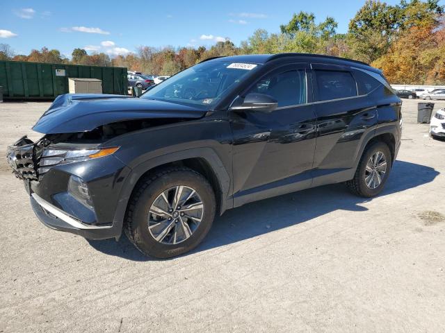 HYUNDAI TUCSON BLU 2022 with VIN KM8JBCA19NU025059 - Photo from auction