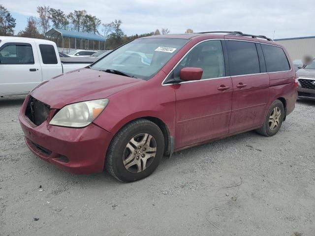 Photo 1 from auction – 2005 HONDA ODYSSEY EX with VIN 5FNRL38725B114110