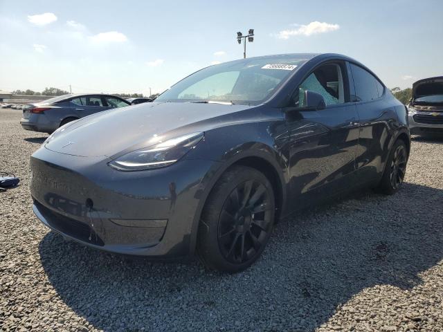 TESLA MODEL Y 2024 with VIN 7SAYGDED8RF091697 - Photo from auction