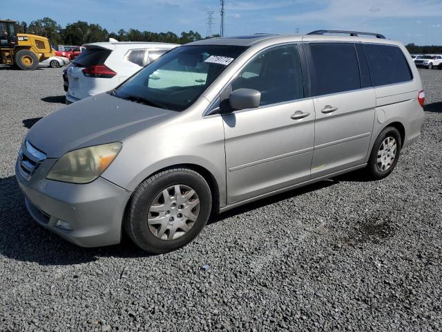 HONDA ODYSSEY TO 2005 with VIN 5FNRL38865B086210 - Photo from auction