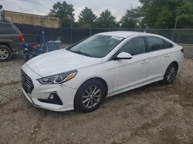 HYUNDAI SONATA SE 2019 with VIN 5NPE24AF1KH744870 - Photo from auction