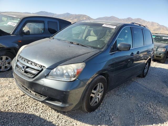 HONDA ODYSSEY EX 2006 with VIN 5FNRL38446B455886 - Photo from auction