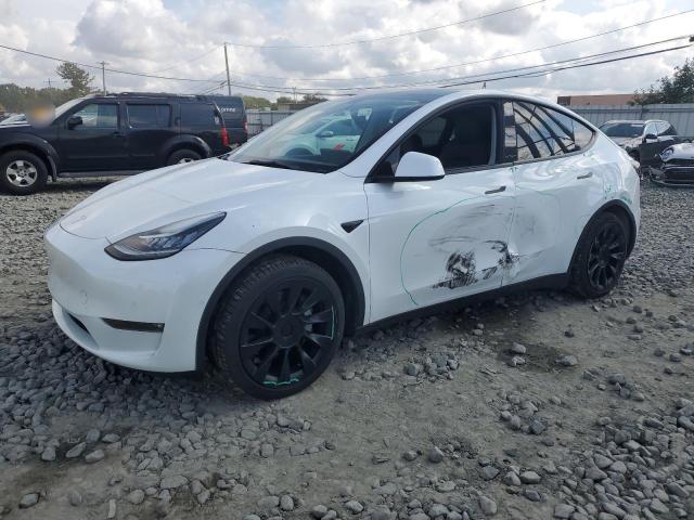 TESLA MODEL Y 2022 with VIN 7SAYGDEE1NF328971 - Photo from auction