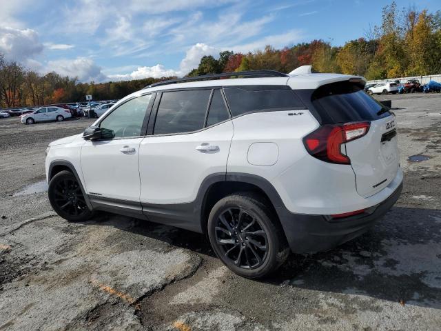 Photo 2 from auction – 2024 GMC TERRAIN SL with VIN 3GKALVEG1RL219505