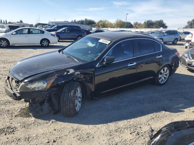 HONDA ACCORD EXL 2010 with VIN 1HGCP3F89AA006271 - Photo from auction