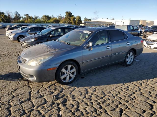 LEXUS ES 330 2005 with VIN JTHBA30G755089692 - Photo from auction