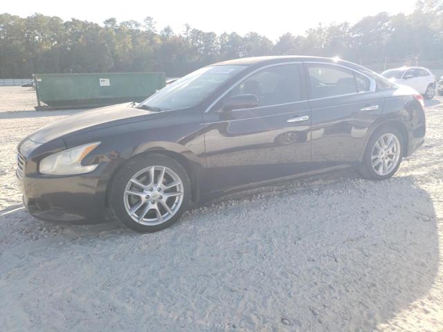 NISSAN MAXIMA S 2010 with VIN 1N4AA5AP3AC828866 - Photo from auction