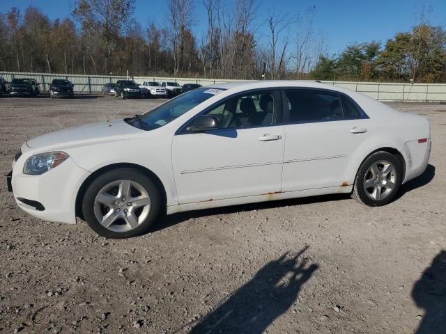 CHEVROLET MALIBU LS 2012 with VIN 1G1ZB5E09CF222344 - Photo from auction