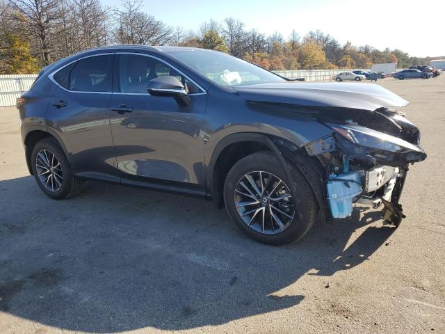 Photo 4 from auction – 2024 LEXUS NX 250 BAS with VIN 2T2ADCAZ4RC006065