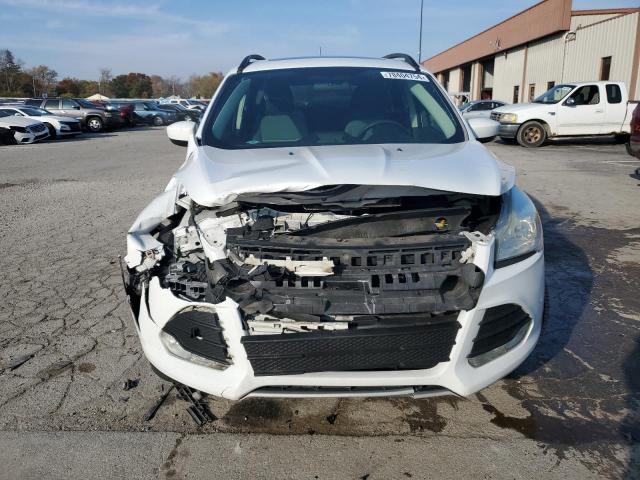 Photo 5 from auction – 2014 FORD ESCAPE SE with VIN 1FMCU0GX5EUC18080