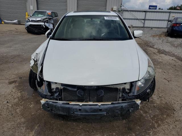 Photo 5 from auction – 2011 HONDA ACCORD EXL with VIN 1HGCP2F80BA152893