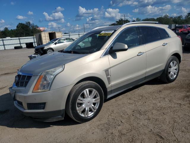 CADILLAC SRX LUXURY 2011 with VIN 3GYFNAEY5BS662291 - Photo from auction